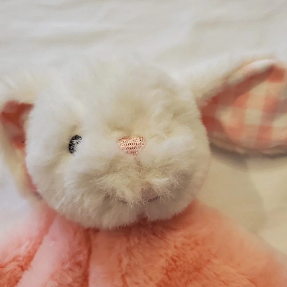 MTY Pink Bunny Rabbit Lovey My First Easter‎ Pink Gingham Blanket